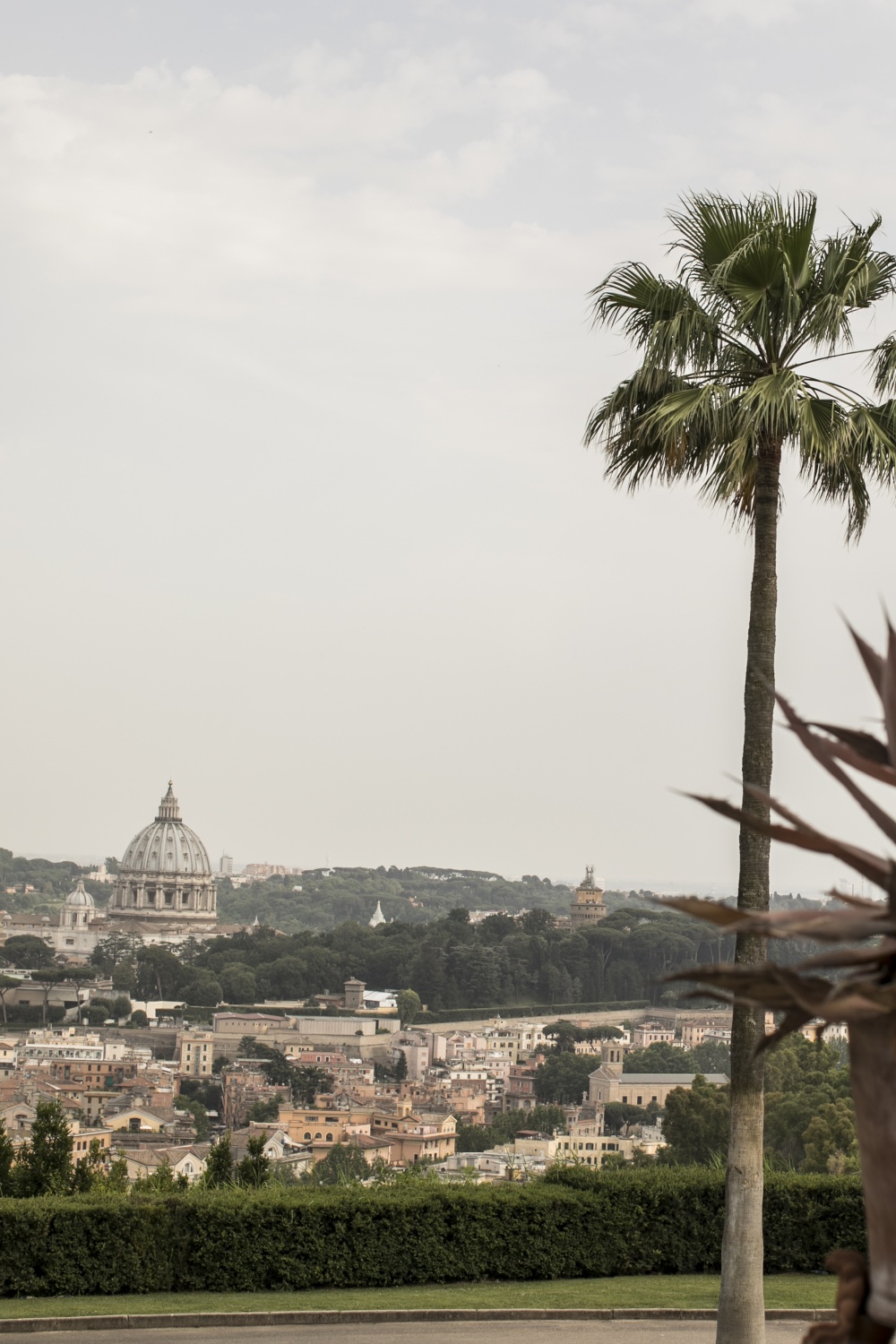 Wedding villa garden with palms with Rome view